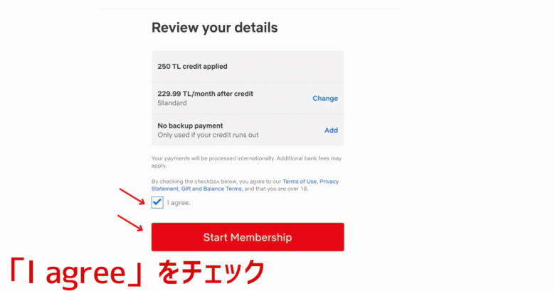 Netflix（トルコ）の契約でI agreeをチェック