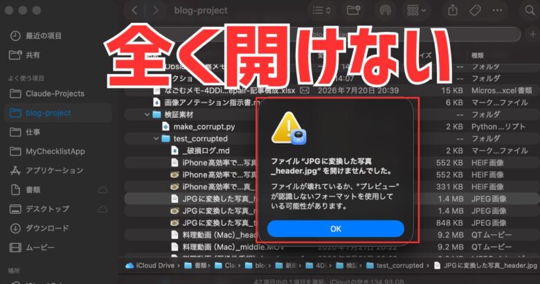 4DDiG File Repairで全く開けない写真を開く