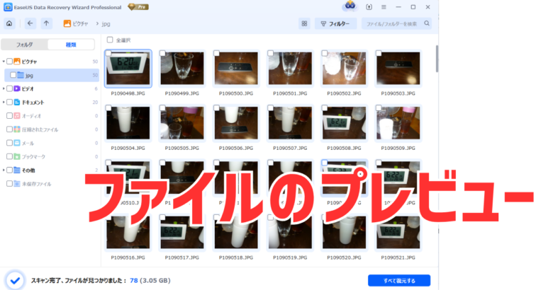 EaseUS Data Recovery Wizardでファイルのプレビュー