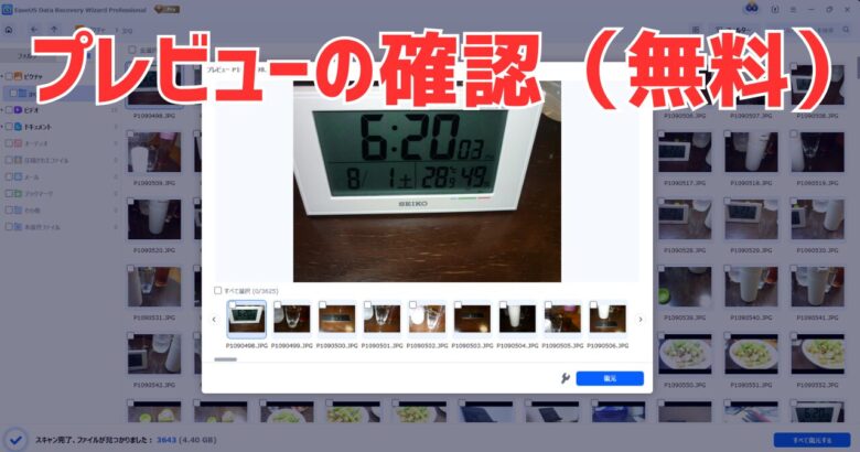 EaseUS Data Recovery Wizardのプレビューの確認。ここまで無料